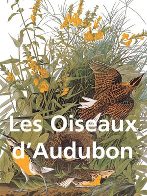 cover image of Les Oiseaux d'Audubon